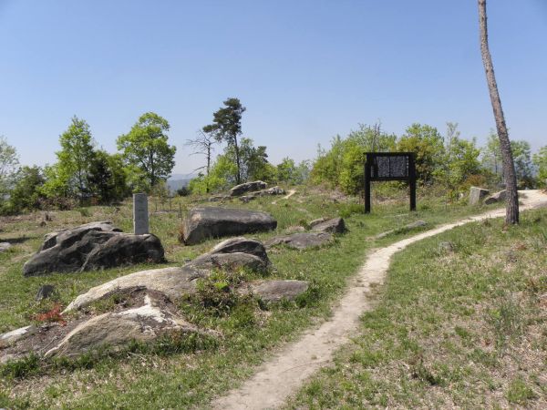 幸山城跡 幸山城跡