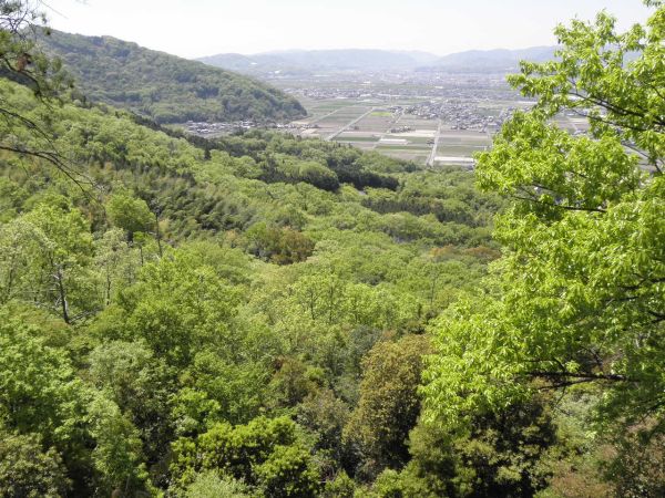 幸山城跡からの眺望 幸山城跡からの眺望
