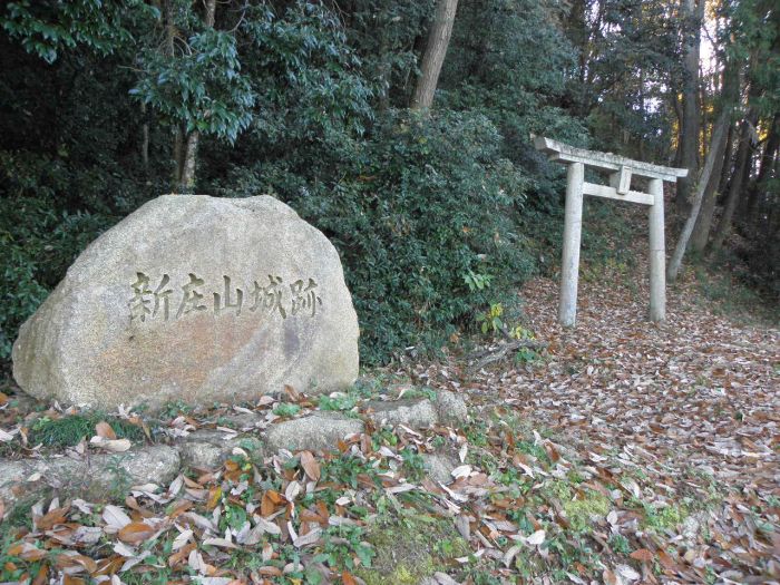 新庄山の北側登り口